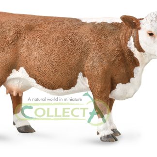 88860---Hereford-Cow.jpg